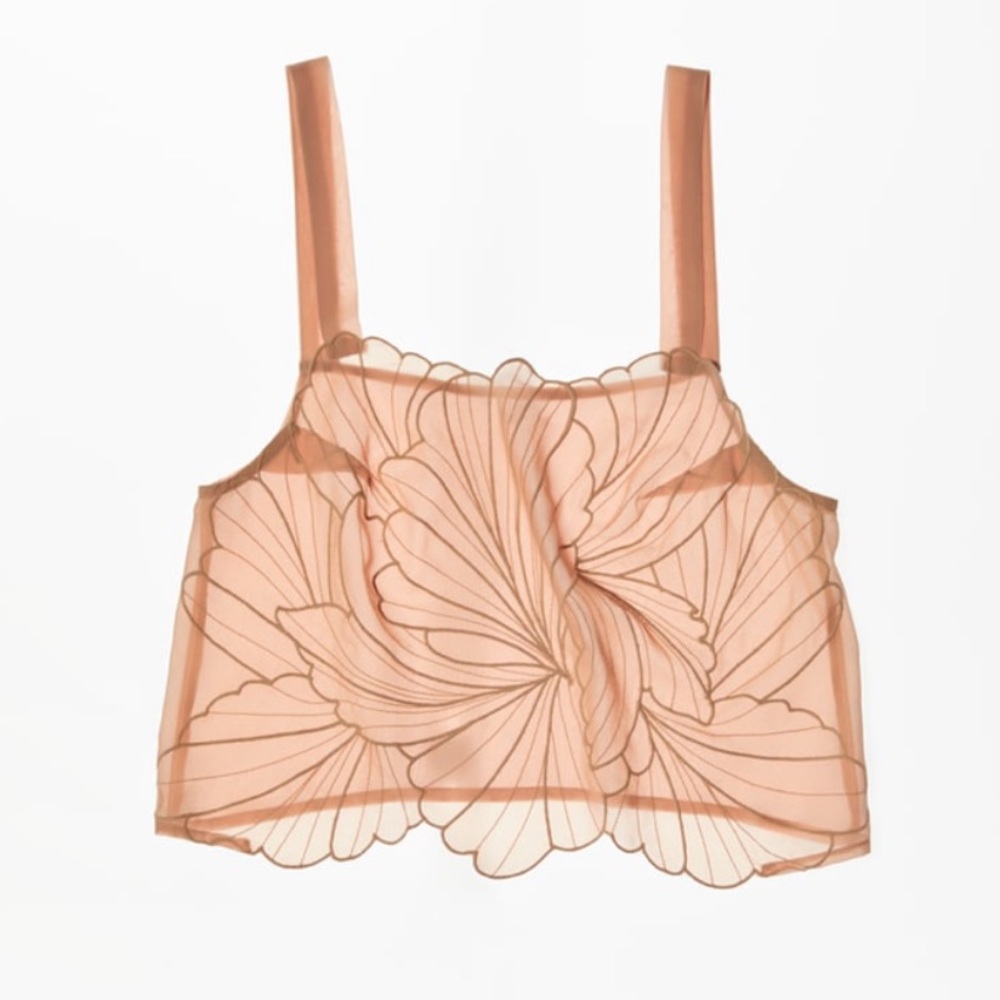 Zara sheer embroidered tank